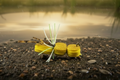 Yellow Hail